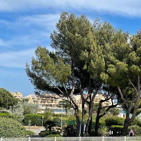 Appartement My Little Provence Bormes Les Mimosas Extérieur photo
